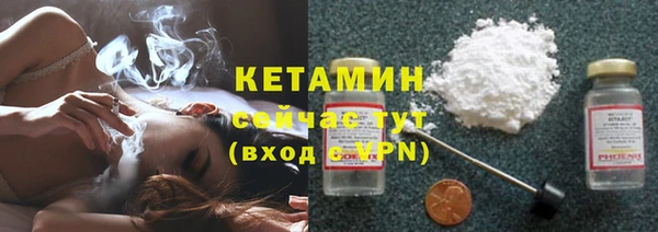 сатива Верея