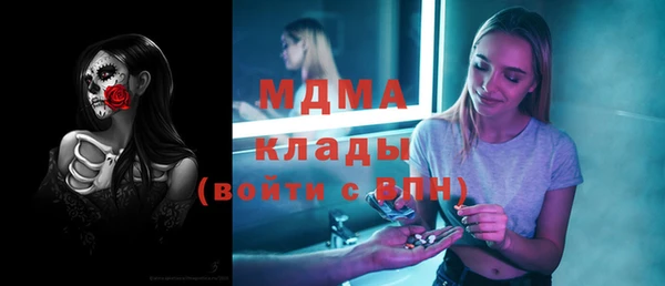 сатива Верея