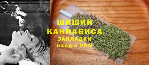 сатива Верея