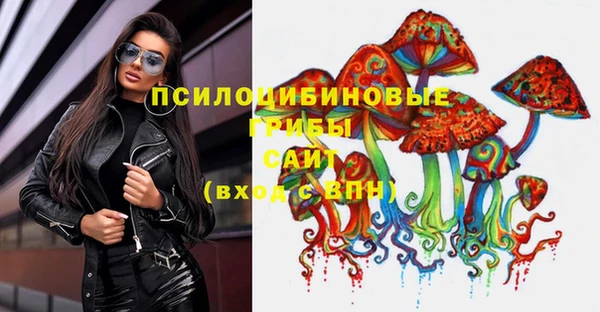 сатива Верея