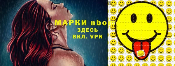 сатива Верея