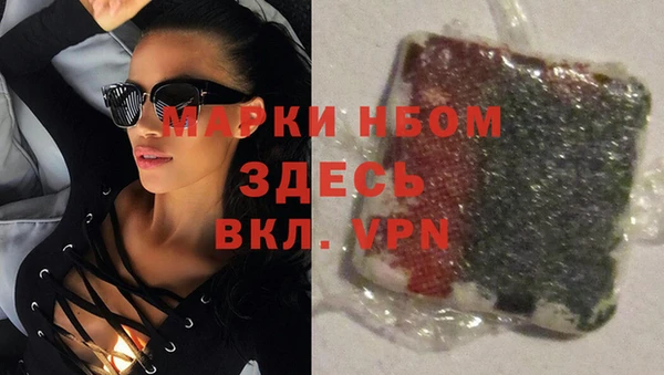 сатива Верея