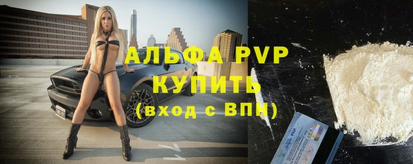 сатива Верея
